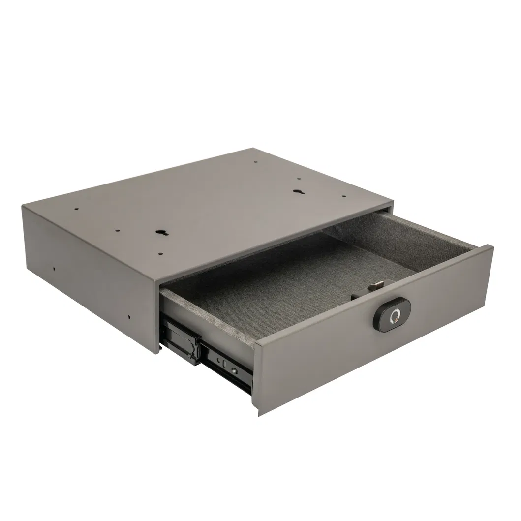 fuertes con cerradura para huellas dactilares Caja fuerte para 