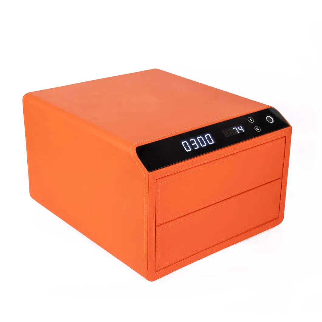 huella digital para el hogar Caja fuerte con caj&oacute;n de seguridad de joyer&iacute;a biom&eacute;trica digital 